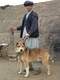 Koochee Dog near Aqcha-Afganistan.jpg