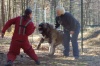Balou-test-03.jpg